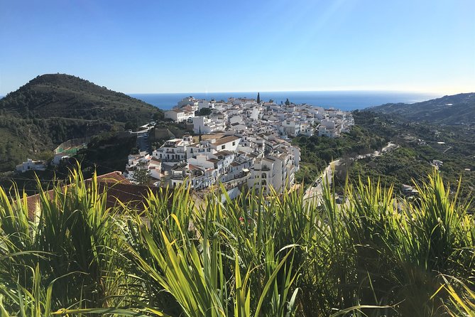 Frigiliana Small-Group Hike and Wine Tasting Tour from Malaga - Following the canal through farms and mountain country