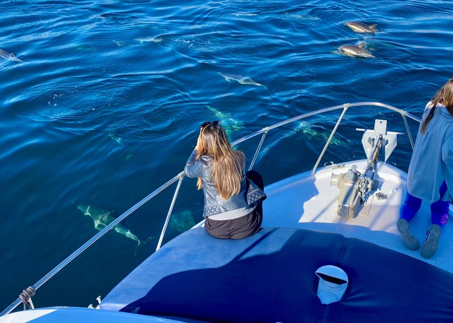 From Benalmádena & Torremolinos: Dolphin Watch Boat Trip - The first 30 minutes: cruising the Benalmádena coast