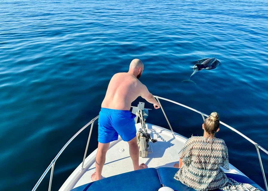 From Benalmádena & Torremolinos: Dolphin Watch Boat Trip - The 30-minute wildlife watch