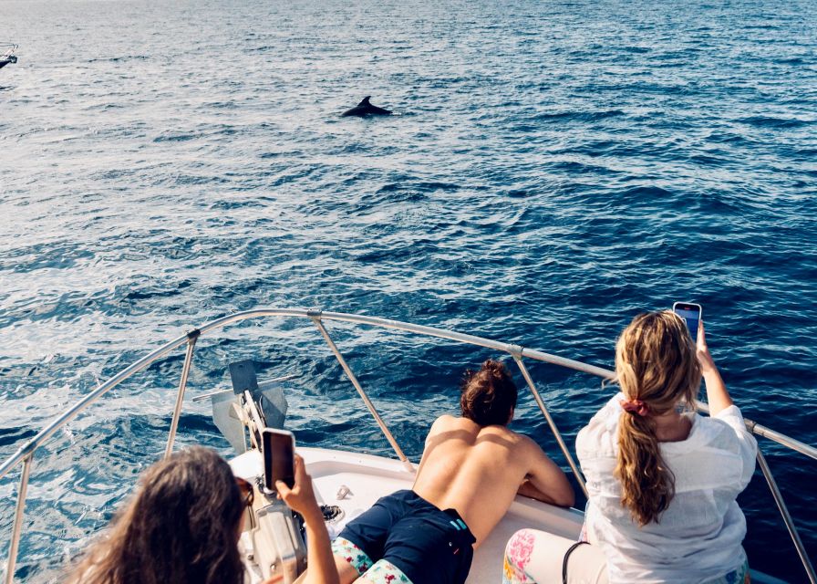 From Benalmádena & Torremolinos: Dolphin Watch Boat Trip - The final 10 minutes back to Benalmádena