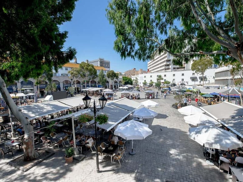 From Costa del Sol: Gibraltar Day Trip with Free Time - Who will enjoy this Gibraltar day trip?