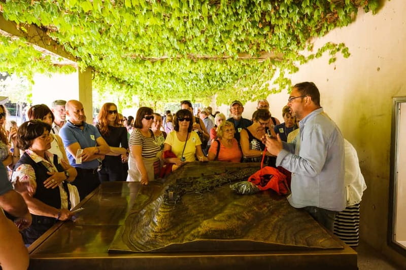 From Costa del Sol: Granada Full-Day Tour - Key points to know before booking