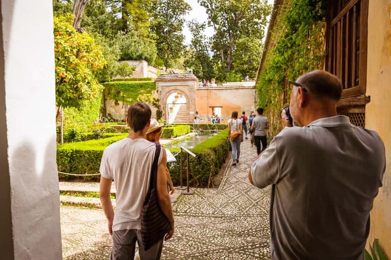 From Costa del Sol: Granada Full-Day Tour - Language, group size, and guide quality