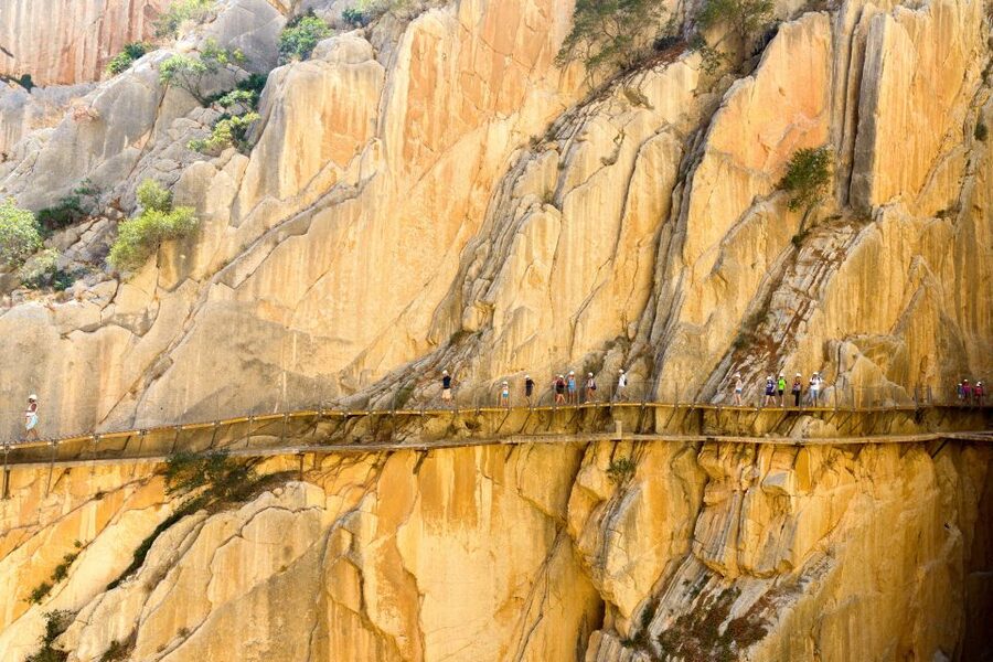 From Costa del Sol & Malaga: Caminito del Rey Guided Tour - What the $82 price really covers
