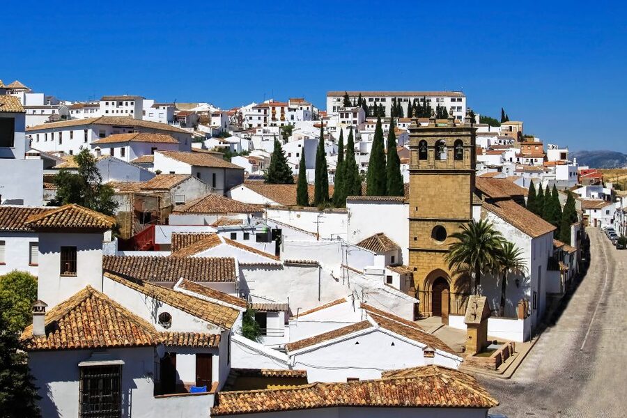 From Costa del Sol: Private Ronda Tour - Inside Ronda’s historic bullring