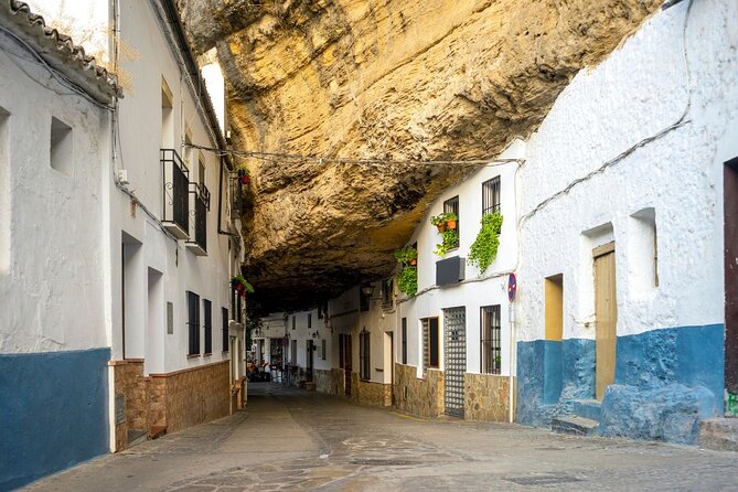 From Costa del Sol: Ronda and Setenil de las Bodegas - The guide makes the difference