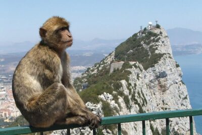 The Gibraltar classic Rock tour