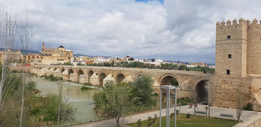 From Malaga and Costa Del Sol: Cordoba Day Trip - Why Córdoba makes a good day from the Costa del Sol