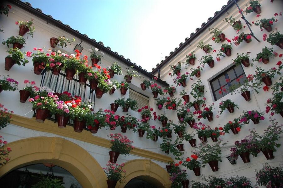From Malaga and Costa Del Sol: Cordoba Day Trip - The Mosque-Cathedral and Patio de los Naranjos