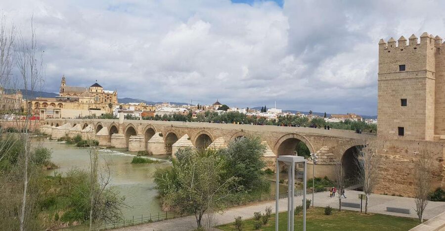 From Malaga and Costa Del Sol: Cordoba Day Trip - The coach journey from Málaga and Torremolinos