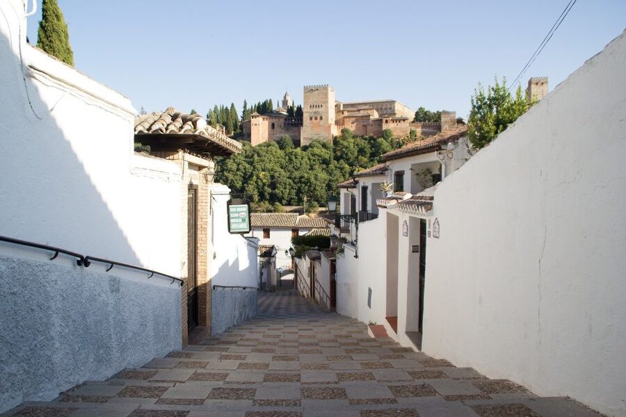 From Malaga and Costa Del Sol: Granada Day Trip - Five hours to choose your own Granada