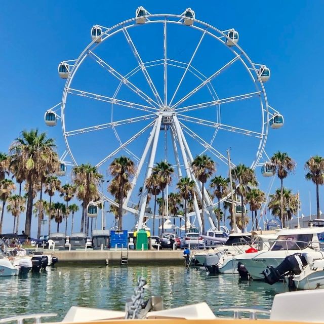 From Málaga: Boat Rental with No License Required - Small Checks Before You Leave Málaga
