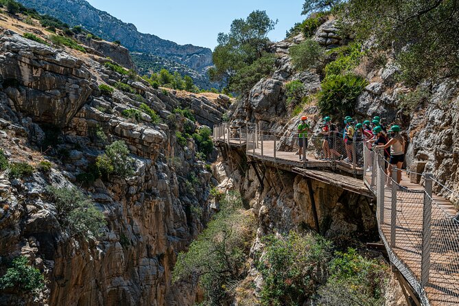 From Malaga Caminito del Rey Guided Tour with transportation - The views, heights, and wildlife