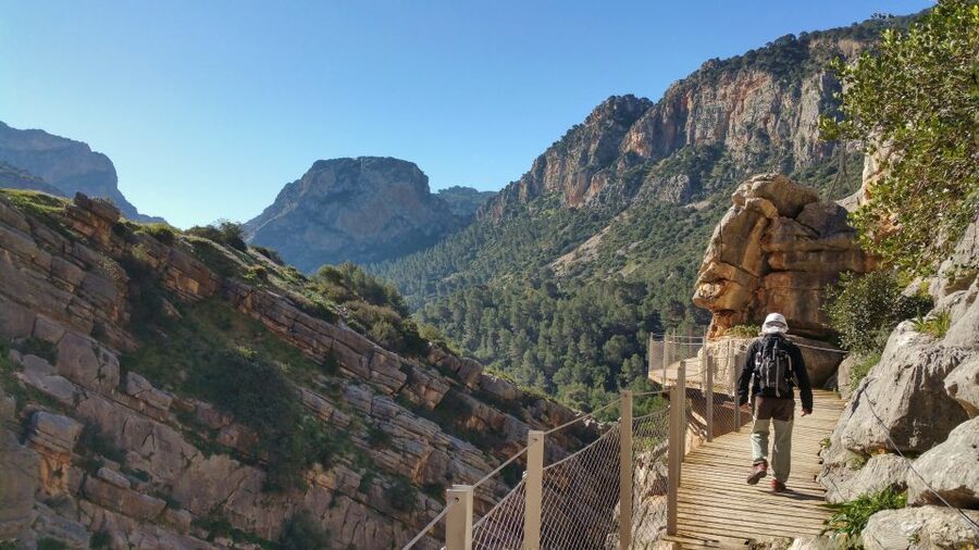 From Málaga: Caminito del Rey Small-Group Tour with Picnic - A picnic with Andalusian flavors