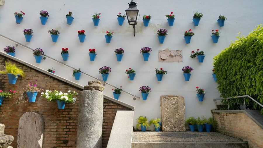 From Malaga: Cordoba Day Trip and Mosque-Cathedral - Key points at a glance