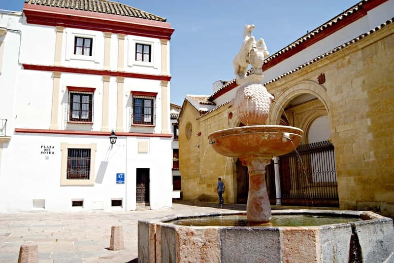 From Málaga: Córdoba Mosque Guided Tour - Key points at a glance