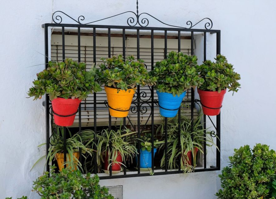 From Málaga /Costa del Sol: Trip to Nerja & Frigiliana - Arriving in Nerja and finding the Balcón de Europa