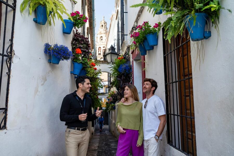 From Málaga: Day trip to Córdoba - Premium Small Group Tour - The return to Málaga