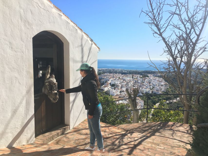 From Málaga: Frigiliana Hiking Tour with Wine & Appetizers - Avocado plantations and the farming side of Málaga
