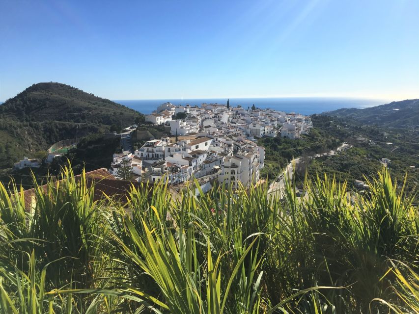 From Málaga: Frigiliana Hiking Tour with Wine & Appetizers - Entering Sierra Alhama, Tejeda and Almijara Natural Park