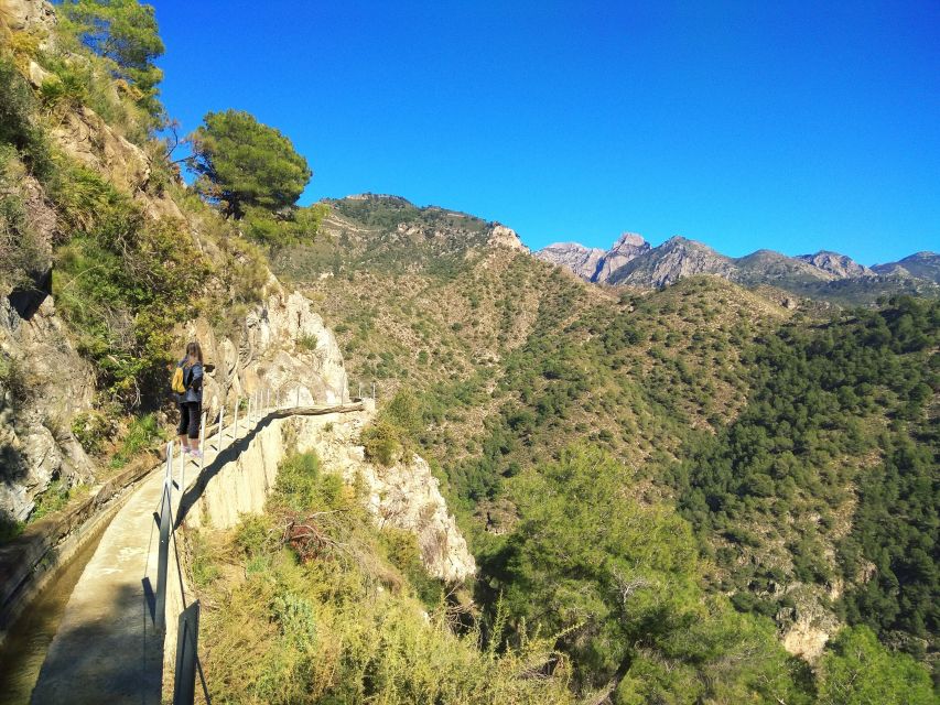 From Málaga: Frigiliana Hiking Tour with Wine & Appetizers - Who will enjoy this half-day outing