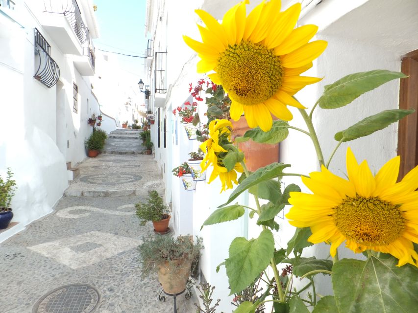 From Málaga: Frigiliana Hiking Tour with Wine & Appetizers - Crossing Frigiliana before the trail begins