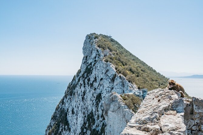 From Malaga, Gibraltar excursion with transport - Key points to know before booking