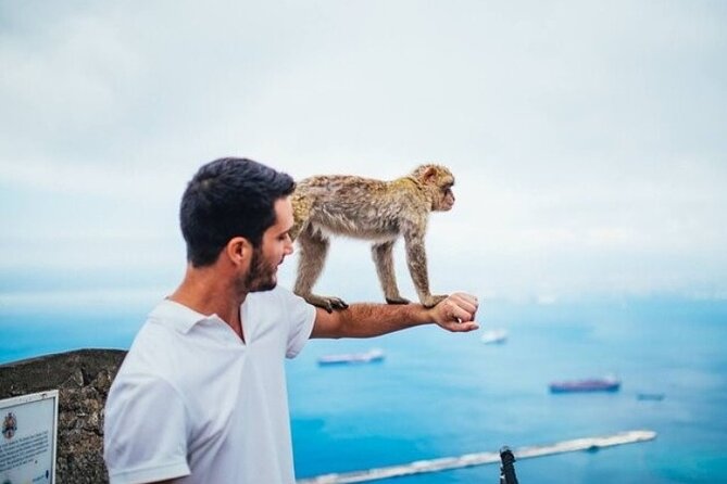 From Malaga, Gibraltar excursion with transport - Monkeys, views, and the price of the Rock