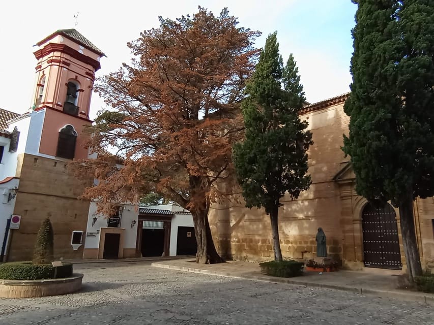 From Malaga: private tour Ronda and Setenil de las Bodegas - Timing, comfort, and who should book