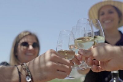Ronda, Wine & Olive Oil Tasting Premium Small Group