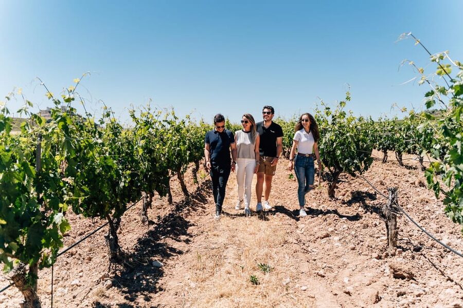 From Málaga: Ronda, Wine & Olive Oil Tasting Small Group - Key points at a glance