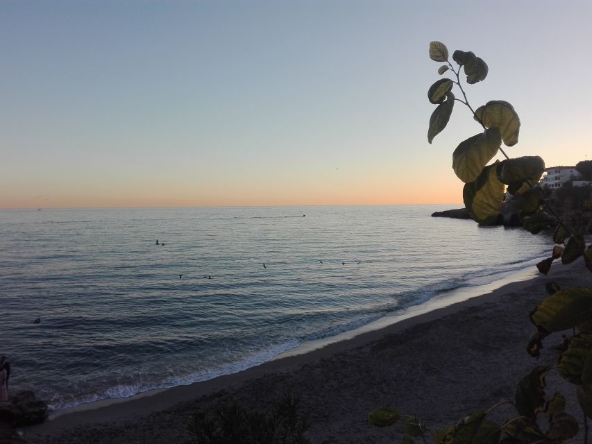 From Málaga: Skip-the-Line Nerja Cave and Frigiliana - Should you book the Nerja and Frigiliana tour?