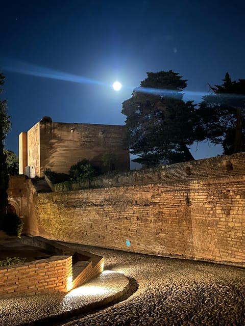 From Nerja/Almunecar: Granada Full-Day Trip - Who will enjoy this Granada day trip
