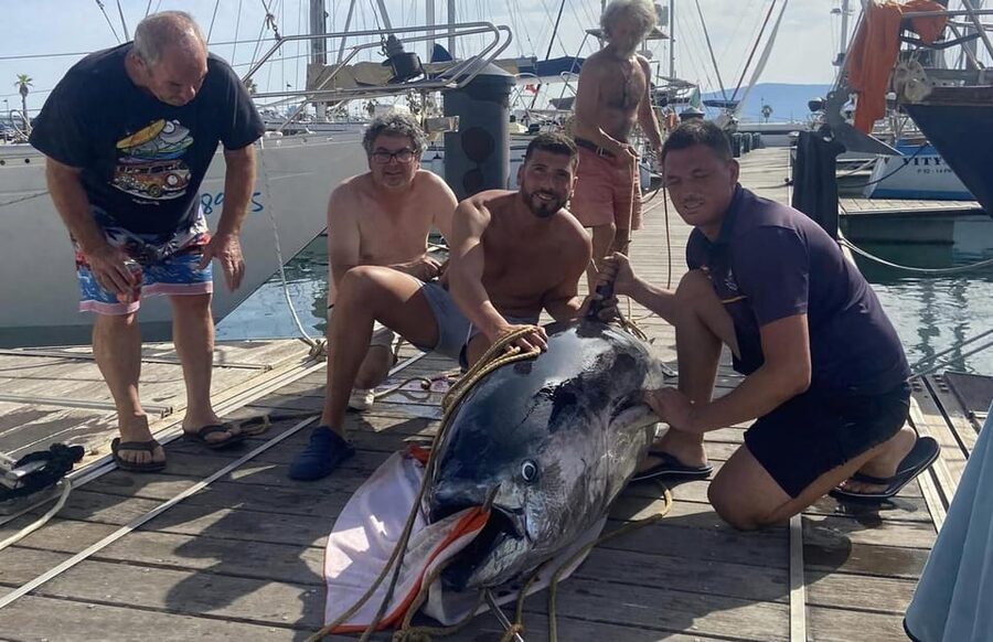 Fuengirola: 4h Trolling Fishing Trip with Snacks and Drinks - What the boat time feels like