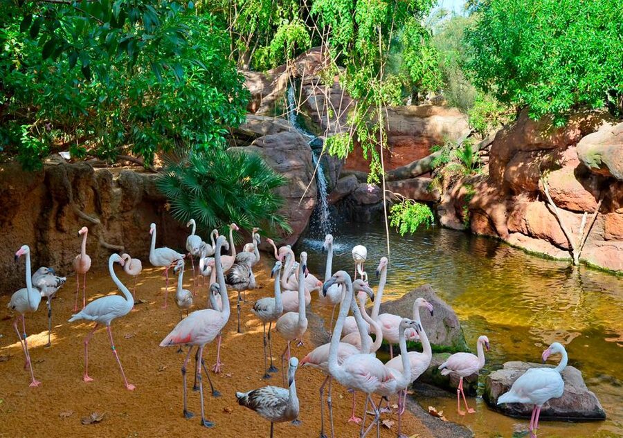 Fuengirola: Bioparc Entrance Ticket - Southeast Asia brings tigers and orangutans