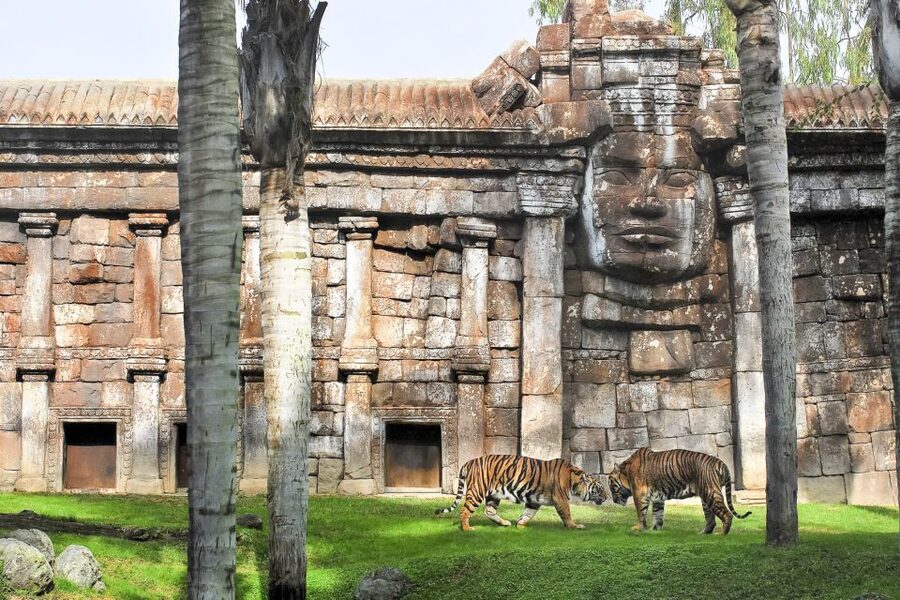 Fuengirola: Bioparc Entrance Ticket - Madagascar and the close-up lemur encounter