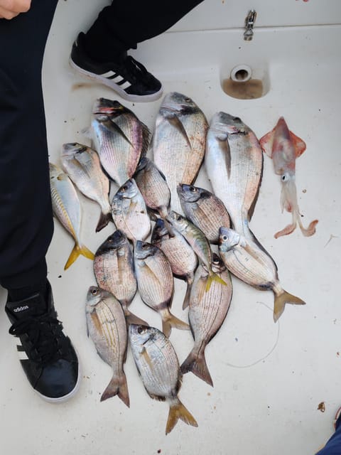 Fuengirola: Bottom Fishing with Jigging and Squid, 2, 4 and 6 hours - Who should book this Fuengirola fishing trip?