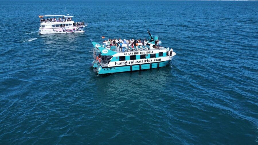 Fuengirola: Catamaran Tour to Spot Dolphins - Why the 10 a.m. departure can be a smart choice