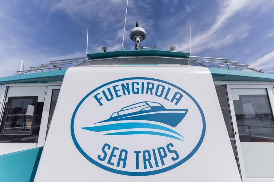 Fuengirola: Catamaran Tour to Spot Dolphins - A good outing for families, with a few limits