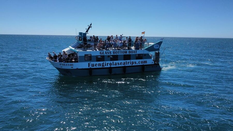 Fuengirola: Catamaran Tour to Spot Dolphins - Is two hours enough for the price?