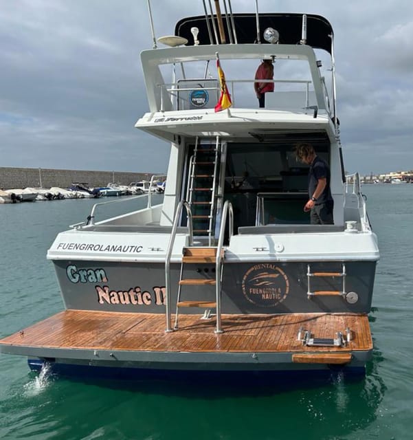 Fuengirola: Dolphin Spotting Tour - Practical booking advice