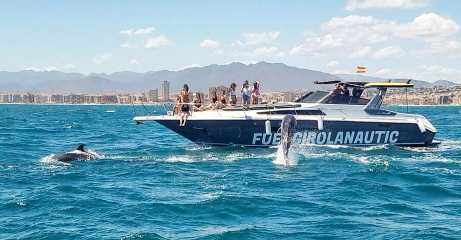 Fuengirola: Dolphin Watching by Yacht with Snacks and Drinks - Is $47 a fair price?