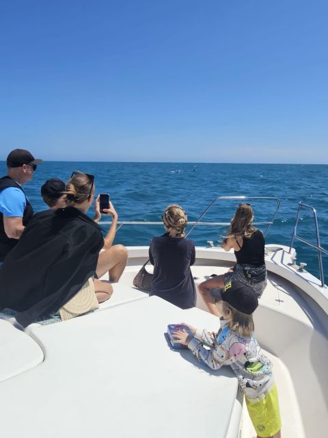 Fuengirola: Dolphin Watching Excursion with Refreshments - A good choice for families and celebrations
