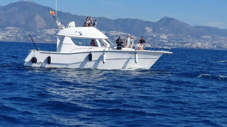 Fuengirola: Dolphin Watching Excursion with Refreshments - The main drawback: wildlife does not follow a timetable