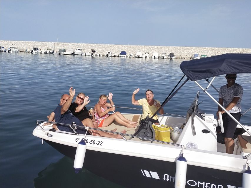 Fuengirola: Dolphin Watching Tour with Snacks and Drinks - Drinks, Fruit, and Snacks While You Wait