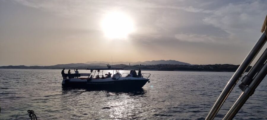 Fuengirola: Fantastic Dolphin Watching Yacht Tour with Drink - Searching for dolphins in open water