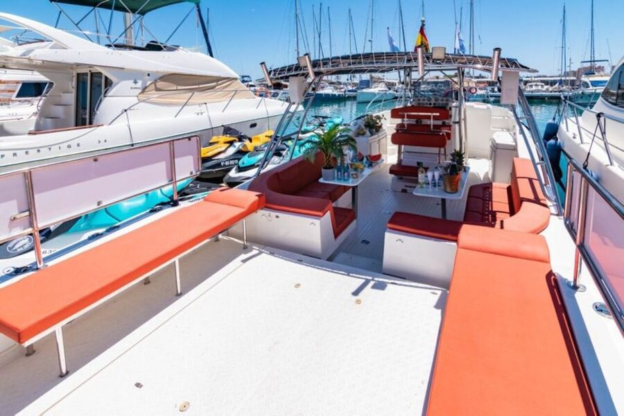 Fuengirola: Fantastic Dolphin Watching Yacht Tour with Drink - What dolphin watching is really like