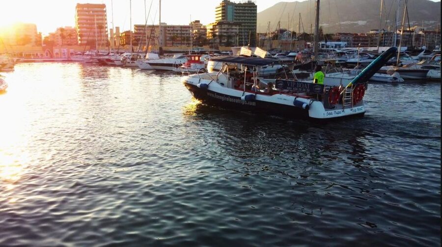 Fuengirola: Fantastic Dolphin Watching Yacht Tour with Drink - A drink, a seat, and the Costa del Sol coast