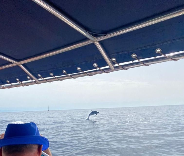 Fuengirola: Fantastic Dolphin Watching Yacht Tour with Drink - Who will enjoy this yacht trip most