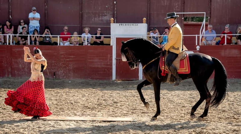 Fuengirola: Spanish Horse Show with Optional Dinner/Flamenco - At a glance: what you are buying